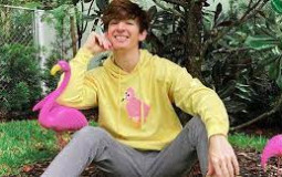 flamingo characters